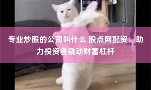 專業炒股的公司叫什么 股點網配資：助力投資者撬動財富杠桿